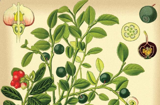 Collegamento a Il freddo giudicaMonologo scritto e interpretato da Valentina Paronetto Musiche e sound design Mauro Martinuz