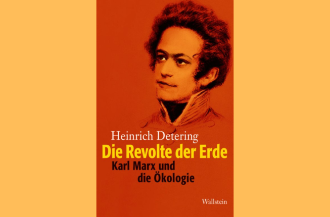 Collegamento a Presentazione del libro di HeinricH DeteringDie revolte der erde. Karl Marx und die Ökologie.