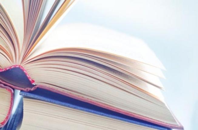 Collegamento a Una riflessione sui correlati cognitivi e neurali della competenza bilingue