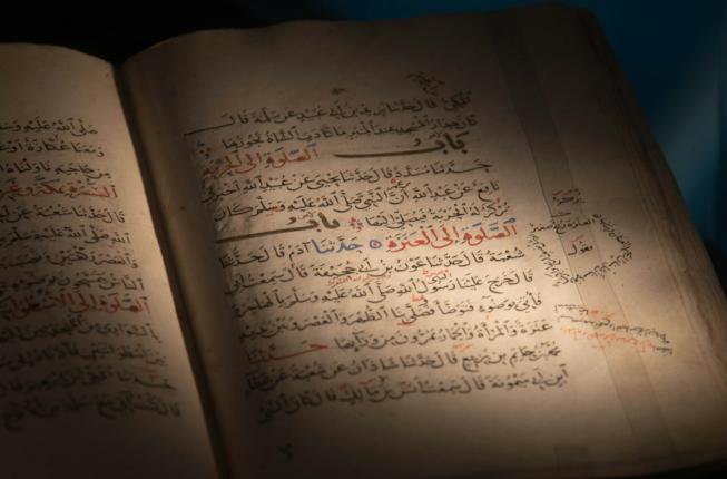 Collegamento a The Fortunes of an Arabic Classic in Medieval Europe: Kalila wa Dimna and Cultural Translation in the Iberian Peninsula